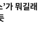 (주)피디큐 브런치