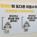 애견카페 애견유치원 펫레터 네이버블로그