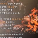 대전카센타협동조합 | [대전 유성구] 장어·삼겹살·닭목살이 무제한?! 지족동 장어 무한리필 끝판왕 '송림복장어'