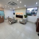 동물치과병원메이 이미지