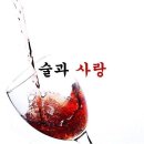 술사랑 Daum카페