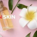 더앤스킨