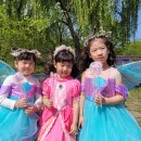 행복북구 어린이날 대축제 | 함평나비대축제ㅣ기간 위치 입장료 예매 주차 프로그램 꿀팁 뚜벅이