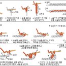 사슬뜨기, 짧은뜨기, 긴뜨기 이미지