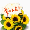 왜목해돋이 이미지