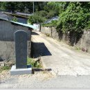 강진5호 이미지