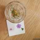 UR(경주시)-[경감로]-하-33 | 뚜벅이 모녀의 <경주 자유여행 2박3일 코스> - Day2~3