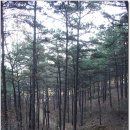 가리약수터 이미지