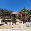 지하철역사(유성온천역) | 한여름에 만나는 보랏빛 감성, 대전 배롱나무 명소에서 인생 사진 찍는 방법