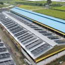 새울태양광발전소 이미지