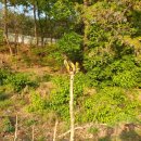 신세계 카센터 이미지