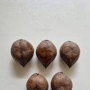 풍월농장 이미지