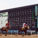 해피밸리 이미지