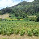 정배공인중개사사무소 이미지