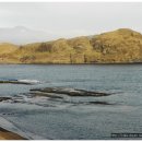 남경미락 이미지