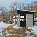 양평 애견동반 숙소 내돈내산 마음편한집