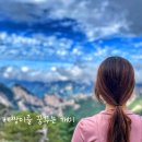 담지원 | [61번째 주간산행] 일개미의 주말 주등 일기_설악산 대청봉 오색-한계령 코스(22.09.03.)