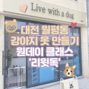 [대전 월평동] 대전 원데이클래스 추천 월평동 ‘리윗독’ 미싱공방에서 강아지 옷, 작은 옷 직접...