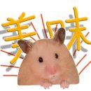 한우집투뿔사위 부평직영점 이미지