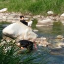 계곡민박 이미지