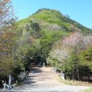 완월체육공원 이미지