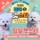 전북펫고등학교 | 임실 펫스타 비추천 아쉬운 반려동물 동반 찐후기 2026 임실N펫스타