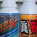 삼죽로 이미지