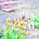 양평외갓집펜션 이미지