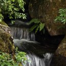 고산정원 이미지