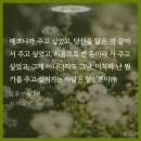 bl 막다 역키잡 천재공 연상같은 연하공 다정공순정공 이미지