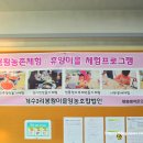 봉황과자연영농조합법인 이미지