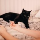 이프동물의료센터 이미지