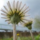 구덕초등학교 이미지