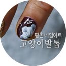 고양이발톱네일&속눈썹 이미지