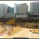 대치유수지체육공원 Daum카페
