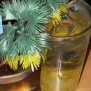 마라천국 이미지