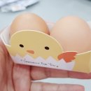 경희대 수덕 태권도 이미지