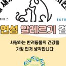 케어스 | 내돈내산 🐶 펫케어스 알레르기 검사 솔직 후기! 📝💖