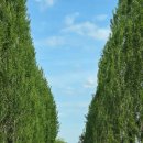 백곡쉼터 이미지