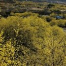 연세대석사태권짱 이미지