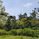 한국폴리텍 II 대학 인천캠퍼스 이미지