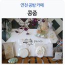 콩줌 이미지