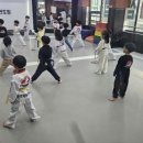 국가대표한국체대태권도장 이미지