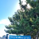 싱글벙글사 이미지