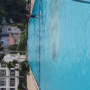 조정대로 이미지