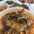 간헐적단식 1년차 후기와 방법 그리고 폭식데이