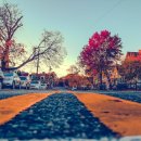 주정차-54 이미지