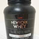 프로틴팩토리 티스토리