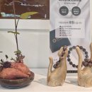 벨루스톤힐링카페 - 익산시 선화로23길 14-1 | 지인과 함께 다녀온 해남 힐링카페 벨루스톤힐링카페 후기
