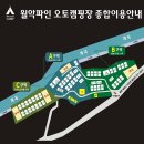 파인 오토 이미지